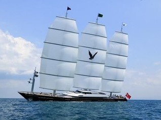 Maltese Falcon