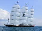 MALTESE FALCON